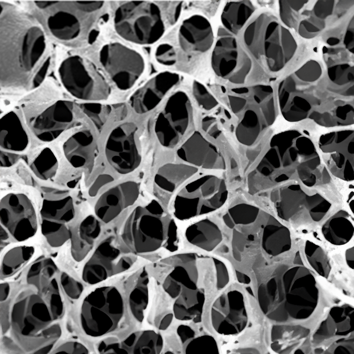 A microscopic photo of open cell spray foam.